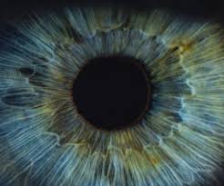 It may also refer to a loss of vision that cannot be corrected with glasses or contact lenses. partial blindness is the term used to describe a limitation to vision. Do You Know The 3 Main Causes Of Blindness In The U S