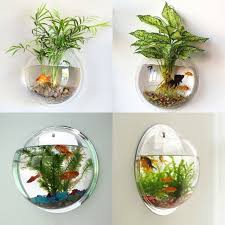 A betta maintained at 78° to 80° will be much more active than one maintained let's put that idea to rest right now: Ready Stock Acrylic Wall Mounted Hanging Fish Bowl Aquarium Tank For Fish Plant Vase Pot Betta Goldfish Tank Shopee Malaysia