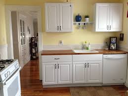 A Few Years Ago We Did A Budget Remodel Of Our Gross Outdated Kitchen You Can Read About Kitchen Cabinets Home Depot Home Depot Cabinets Home Depot Kitchen