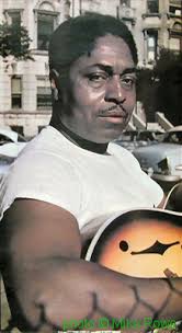 Illustrated Johnny Shines discography