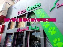 التطعيم بواحة الحيوان عطلات