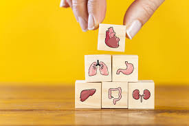 You will find some questions to ask your doctor or other members of the health care team to help you better understand your diagnosis, treatment plan, and overall care. 15 Cancer Risk Factor Questions To Ask Your Doctor