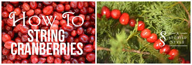 This article will be judged by what is written as a justification and may be deleted or rewritten if the justification does not adhere to the color sorting policies.this color. How To String Cranberries Diy Cranberry Garland A Storied Style