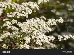 We did not find results for: Beautiful Spring Image Photo Free Trial Bigstock