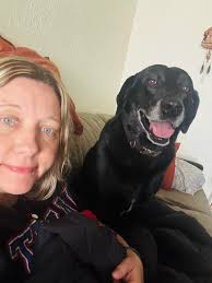 Introduction of a new family dog named Bear