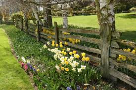That is why in this ideabook we have combined 15 discrete and aesthetic looking fence designs. 40 Beautiful Garden Fence Ideas Rustic Garden Fence Rustic Fence Rustic Garden Lighting
