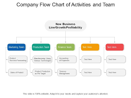 company flow chart of activities and team presentation