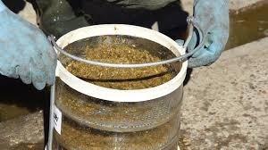 Schade in groningen en milieuvervuiling door mestfraude in brabant. Tkpsl7c534d3jm