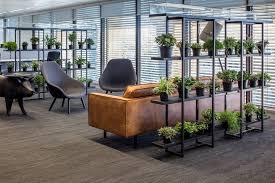 We did not find results for: How To Use Plants As Room Dividers Floresy Online
