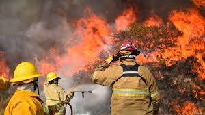 Hoy tenemos un viento norte terrible. Mas De 400 Bomberos Trabajan Para Sofocar Incendios En Cordoba Cronica Firme Junto Al Pueblo