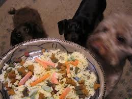 So it's better to peel the zucchini skin before serving it raw. Vegetables That Are Good For Dogs Pethelpful