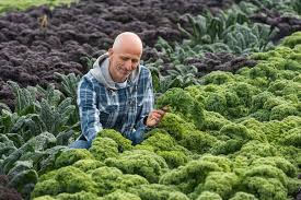 Image result for kadeřávek