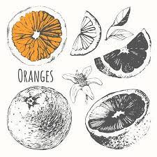 Pin En Fruits Frutas