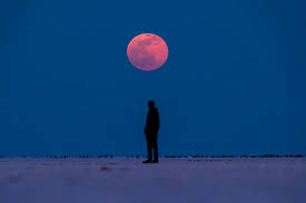 National Geographic España - News update