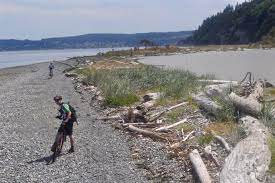 The manzanita trail was constructed in march of 2017 as a collaboration between washington's state parks, dungeness river audubon center, forest service. These Parks Are State Secrets