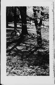 Denison University Bulletin, A College of Liberal Arts and Sciences Founded  in 1831, 150th Academic Year