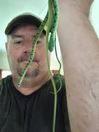 Saved. Released. Much to the fear and astonishment of an on-looking crowd  laden with sticks........