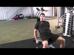 This side deltoid exercisecan also be performed standing, but seated version with your back flat against the back of a chair will help eliminate any cheating on this shoulder exercise. Seated Incline Dumbbell Lateral Raises For Your Shoulders Day 79 Wellfit 365 Youtube
