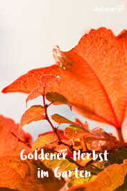 10 Tipps Fur Die Gartenarbeit Im Herbst Plant Happy Gartenarbeit Garten Bepflanzung