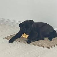 Strait is the Gate by Marjorie Buckingham