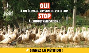 Chouze sur loire port boulet. Confederation Paysanne