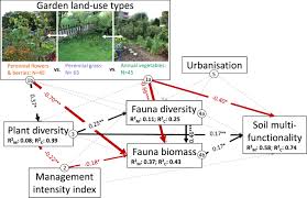 The relationship is particularly strong if heavy rainfall occurs at times when, or in locations where, the soil's surface is not well protected by vegetation. Direct And Indirect Effects Of Urban Gardening On Aboveground And Belowground Diversity Influencing Soil Multifunctionality Scientific Reports