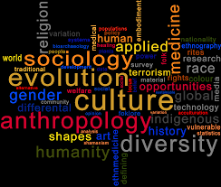 Image result for Pleurolobus salicifolius