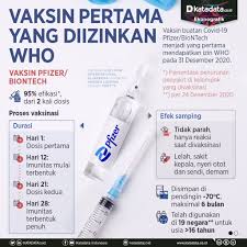 (misalnya dosis pertama sinovac, dosis kedua astrazeneca). Vaksin Pertama Yang Diizinkan Who Infografik Katadata Co Id
