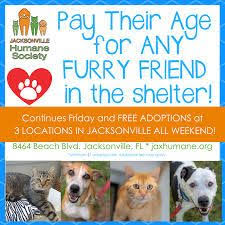 Finalize the adoption process either at a petsmart near you or at your local shelter. 30 Best Dog Cat Adoption Promos Ideas Cat Adoption Adoption Dog Cat