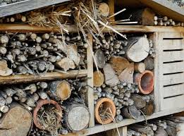 Comment Construire Soi Meme Un Hotel A Insectes Hotel A Insectes Maison A Insecte Insectes