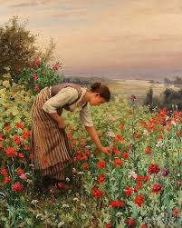 Beautiful Paintings and Pictures