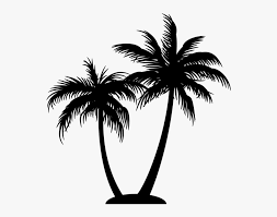 Pngkit selects 102 hd coconut tree png images for free download. Palm Tree Logo On Black And White Coconut Tree Silhouette Png Transparent Png Transparent Png Image Pngitem