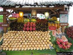 We did not find results for: Asian Specialty Fruit Trees