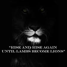 Rise And Rise Again Until Lambs Become Lions Meaning Rise And Rise Again Until Lambs Become Lions Quote From The Movie Robin Hood Lion Quotes Great Inspirational Quotes Short Inspirational Quotes