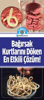 Vucuttaki Bagirsak Kurtlarini Doken En Etkili Dogal Cozum Dogal Tedavi Beslenme Saglikli Olmak Dogal