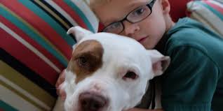 Yoyo's family has a doggone good tale to share