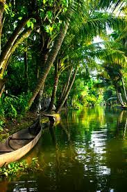 Kerala India In June India Kerala Landscapephotography Scenic Photography Landscape Kerala Travel Landscape Photography Nature