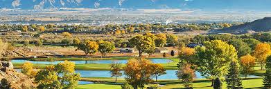 Maybe you would like to learn more about one of these? Newly Restored Downtown Cottage Cottages For Rent In Grand Junction Colorado United States