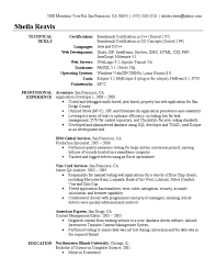 application developer resume sample