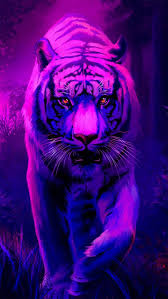 Cool custom cute owl background. Neon Tiere Neon Coole Hintergrundbilder Novocom Top