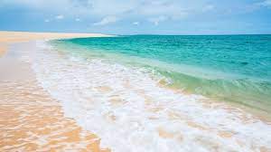 Wallpaper Sea Beach Sand Beach Background Image For Laptop Hd Wallpapers Backgrounds Download Beach Background Images Beach Background Background Images