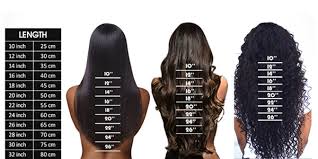 curly hair length chart lajoshrich com