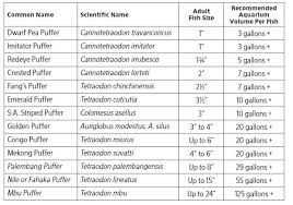 Actual Fish Tank Mates Chart Marine Aquarium Fish