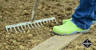 How to amend soil for garden. How To Amend Sandy Soil Gardening Channel