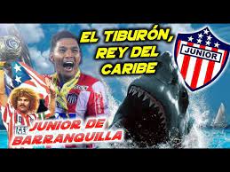 Junior de barranquilla comunica que sus jugadores y cuerpo técnico no se contagiaron de coronavirus al venir a ecuador. Junior De Barranquilla El Tiburon Rey Del Caribe Clubes Del Mundo Colombia Youtube
