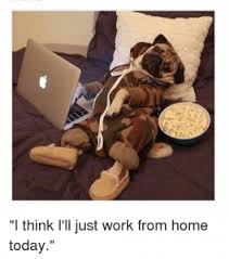 Browse 990 work from home funny stock photos and images available, or start a new search to explore more stock photos and images. Funny Work From Home Memes You Can Totally Relate To