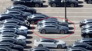 Image result for Cosmos Silver 2022 Lucid