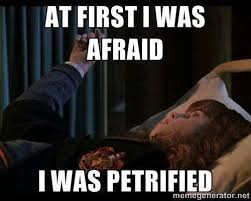 18 Jokes Only Harry Potter Fans Will Understand Harry Potter Voldemort Harry Potter Jokes Harry Potter Memes Hilarious