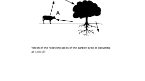 This exercise is a simulation of human karyotyping using digital images of chromosomes from actual human genetic studies. Biogeochemical Cycles Practice Ecology Khan Academy
