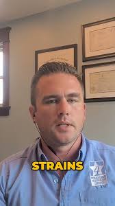 The Swine it Podcast Show with Dr. Daniel Gascho and Dr. Steve Tousignant